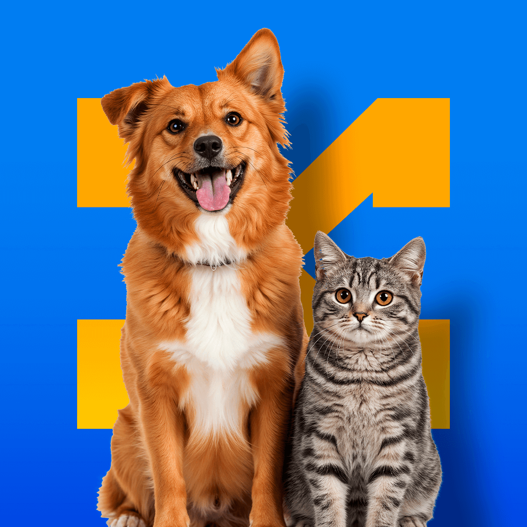 Pets