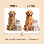 Escova elétrica a vapor 2 em 1 para cães e gatos🐾